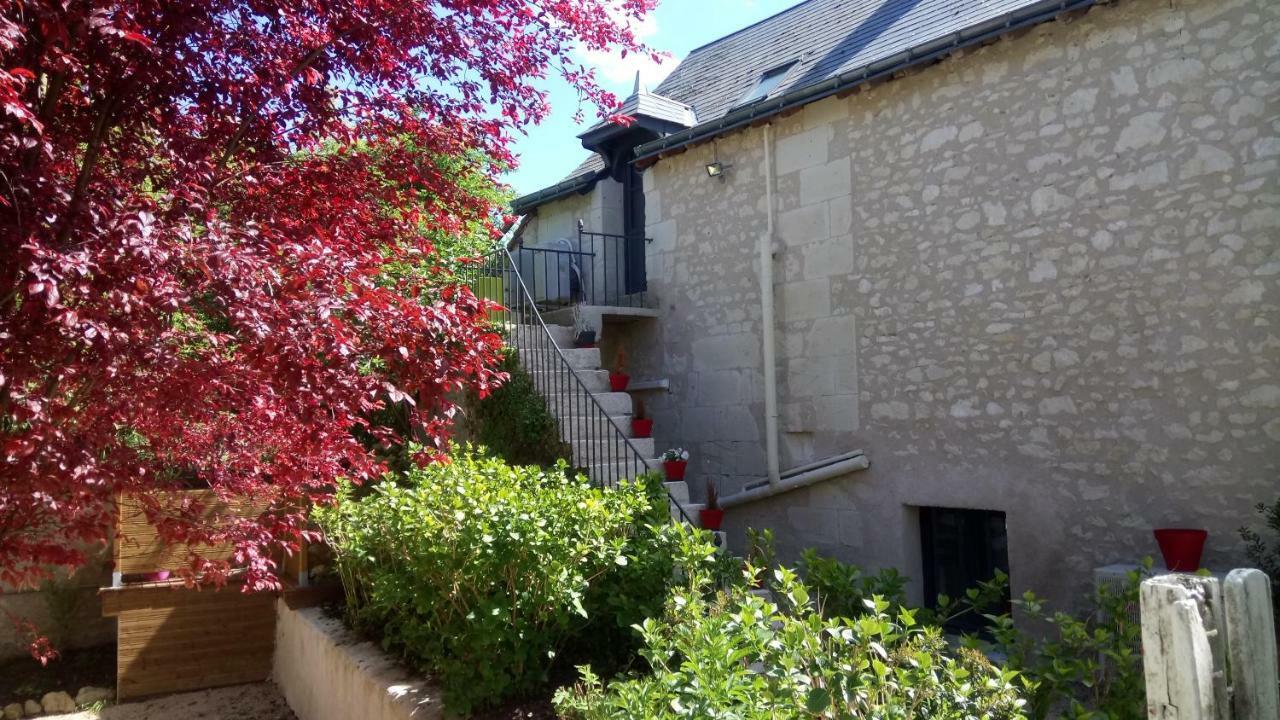 Gites Et Chambres Des Coteaux 圣摩尔德图尔 外观 照片